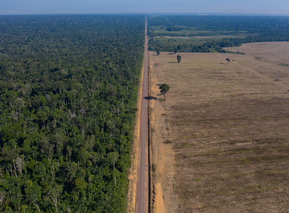 La Amazonía perdió un área equivalente a Chile en un plazo de 36 años