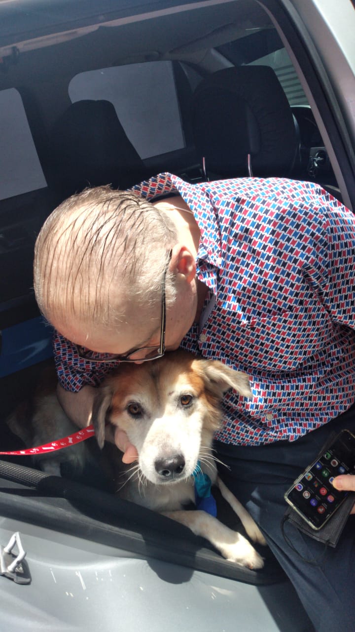 Latourrette Bó aclara que recibió al perrito del Ministerio Público: «Quiero dejar en claro que hicimos bien las cosas»