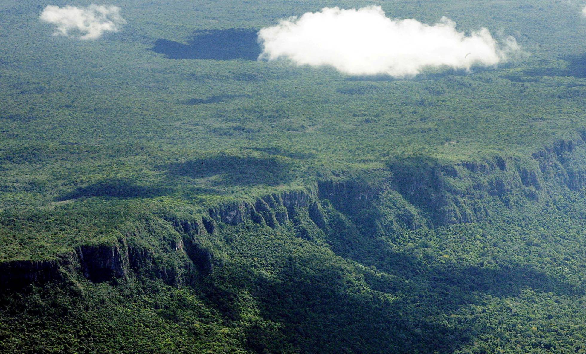 El mundo perdió 15,8 millones de hectáreas de bosque tropical