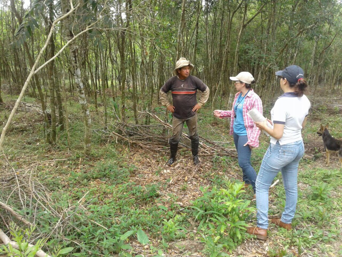 A Todo Pulmón organiza un taller de producción sostenible de yerba mate