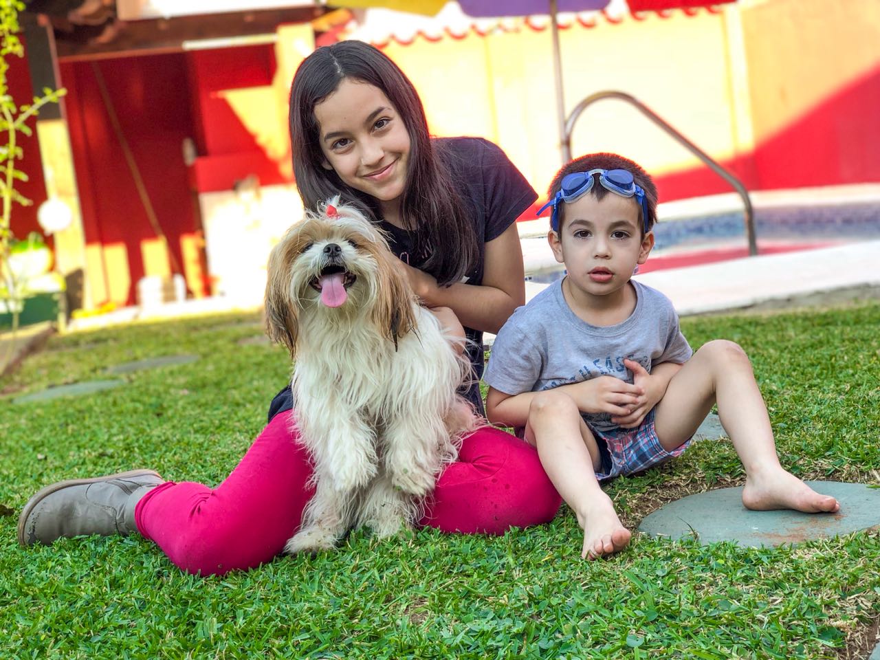Se busca a los dueños de esta pequeña