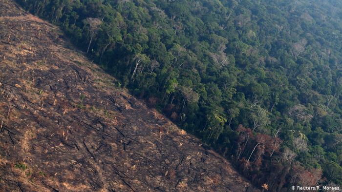 «La segunda peor marca anual»: La Amazonía brasileña perdió cerca de 8.500 kilómetros cuadrados de selva en 2020