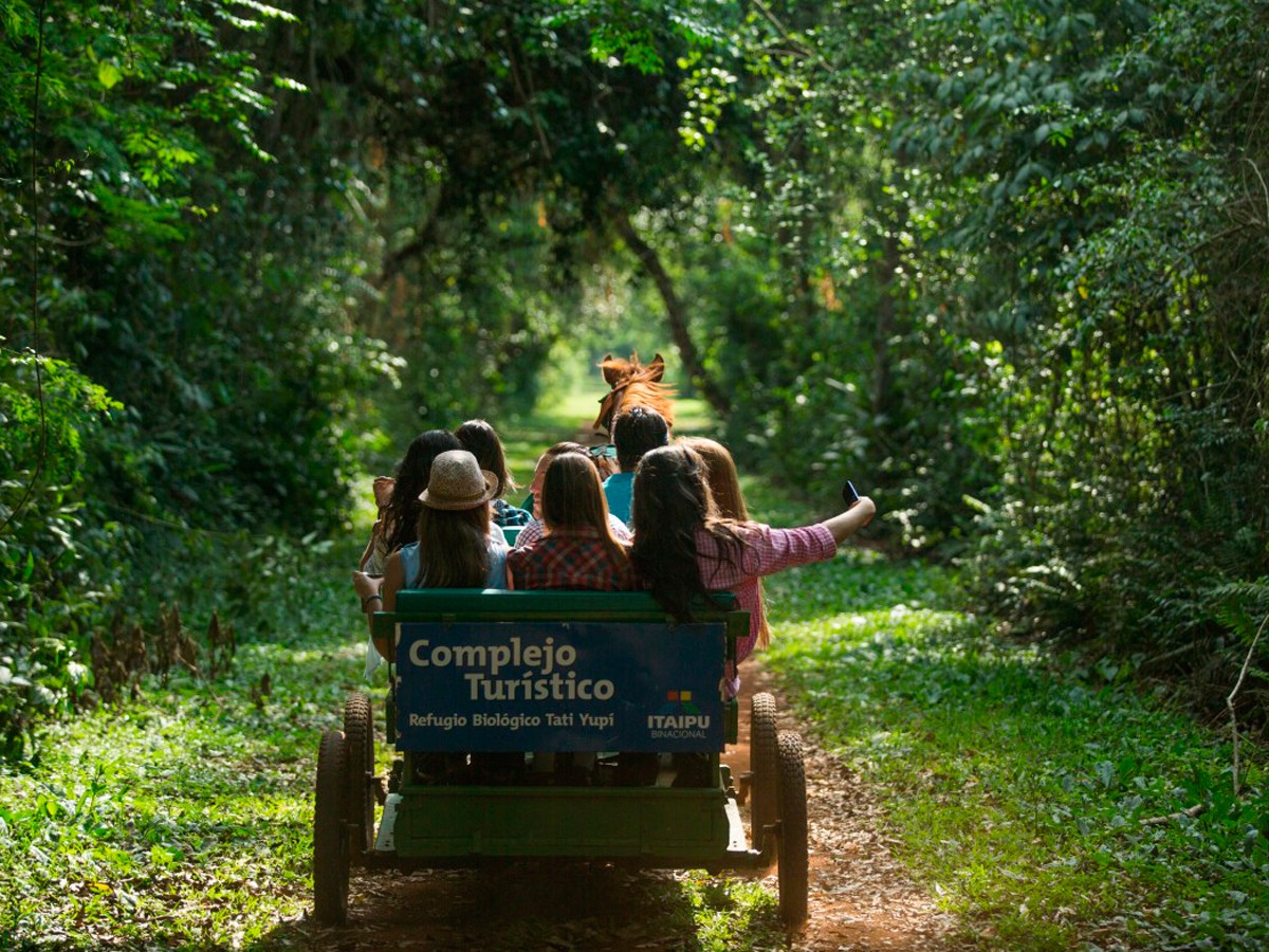Complejo turístico Itaipú espera a la gente con show, museo y mucha naturaleza