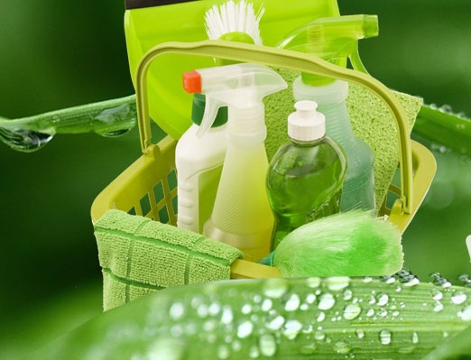 Una proteína que produce el páncreas, clave para crear detergentes ecológicos