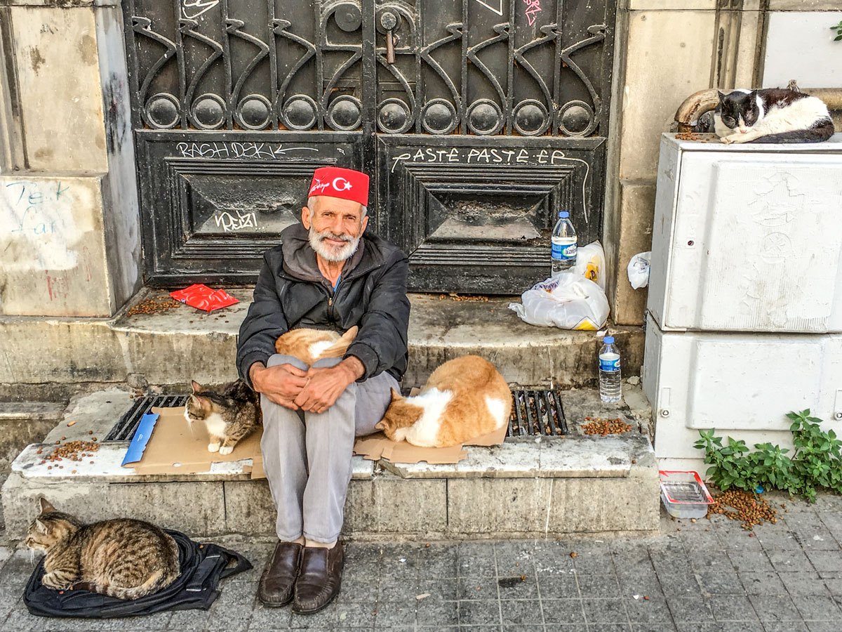 Estambul, ciudad de perros y gatos callejeros, pero vacunados y bien cuidados