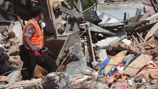 Aumenta a 131 la cifra de los muertos por el terremoto en Indonesia