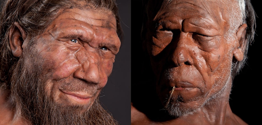 Nuevo hallazgo permite identificar neandertales gracias a dientes digeridos