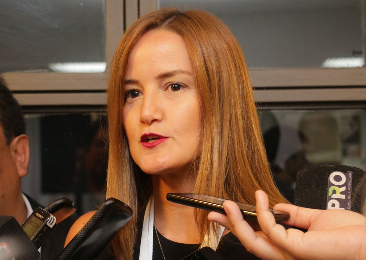 Candidatura de Sole Núñez esta respaldada por empresarios que invierten en ella, afirma analista
