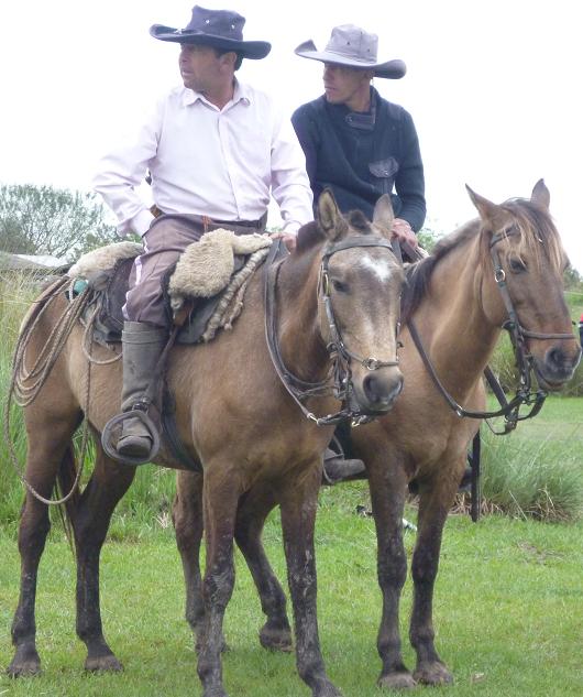 El caballo en nuestro lenguaje