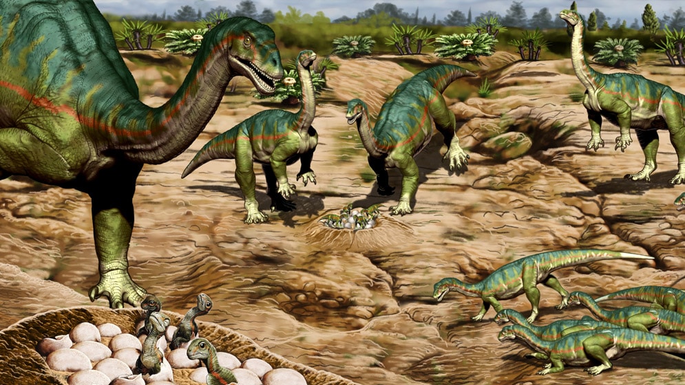 Paraguay organiza charla sobre nuevos descubrimientos de dinosaurios de Argentina