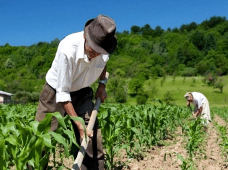 Menos procesados, más orgánicos. Productores agroecológicos invitan al consumo responsable