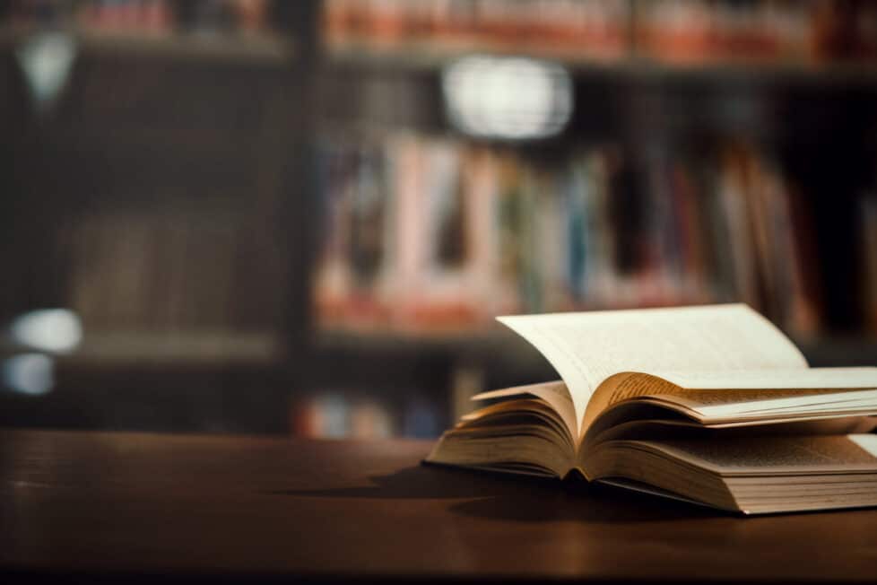 «Nuestros libros de historia están todos plagados de mentiras aduladoras», afirma historiadora