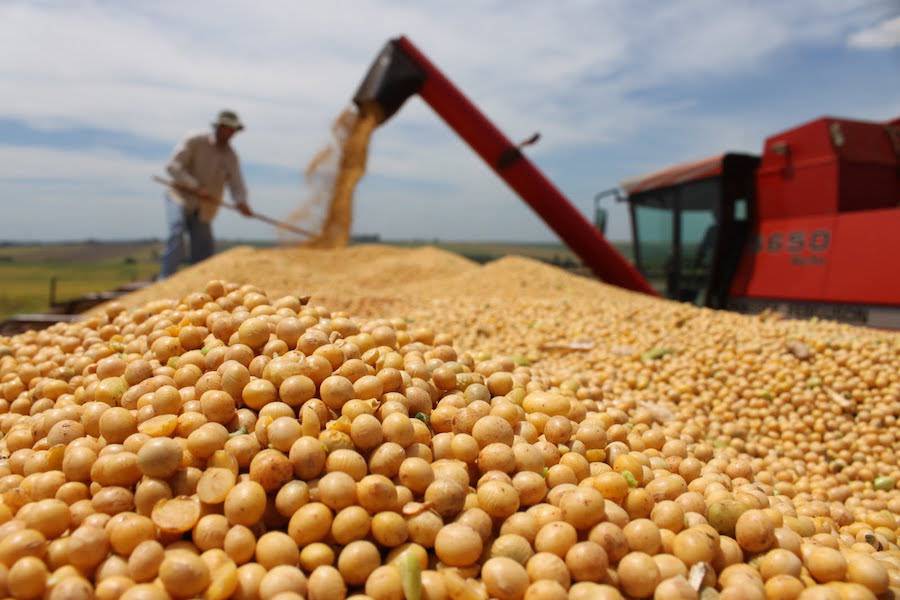 La crisis económica en Argentina no afectará las exportaciones de commodities paraguayos, aseguran