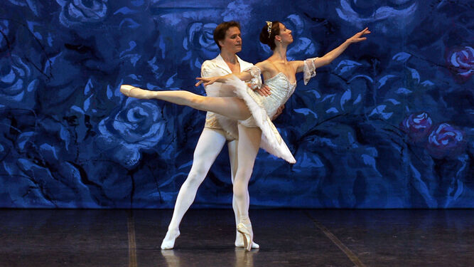 Imperdible: “El Lago de los Cisnes” del Ballet Clásico de San Petersburgo se presentará en Paraguay