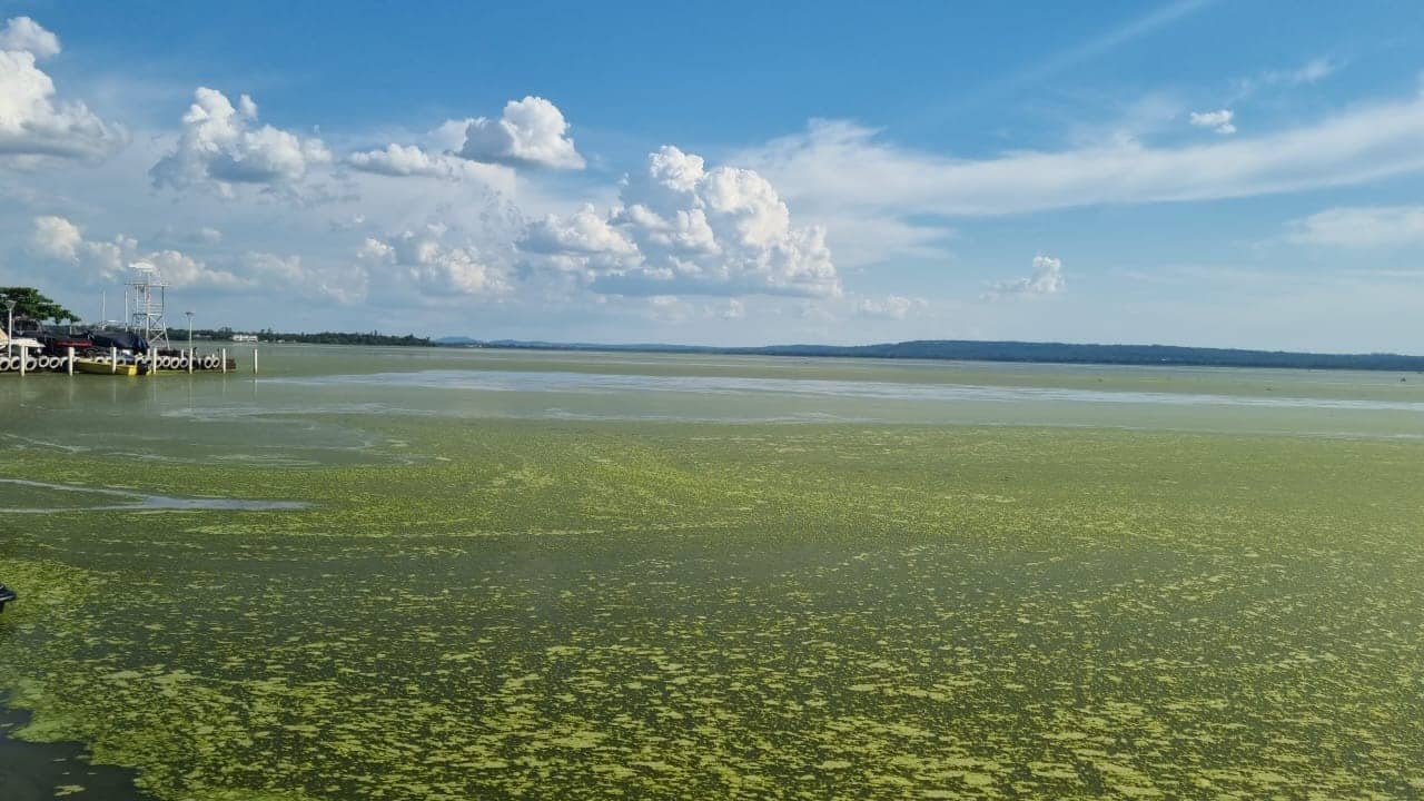 Atención: Mades advierte que las aguas del Lago Ypacaraí no están aptas para el baño