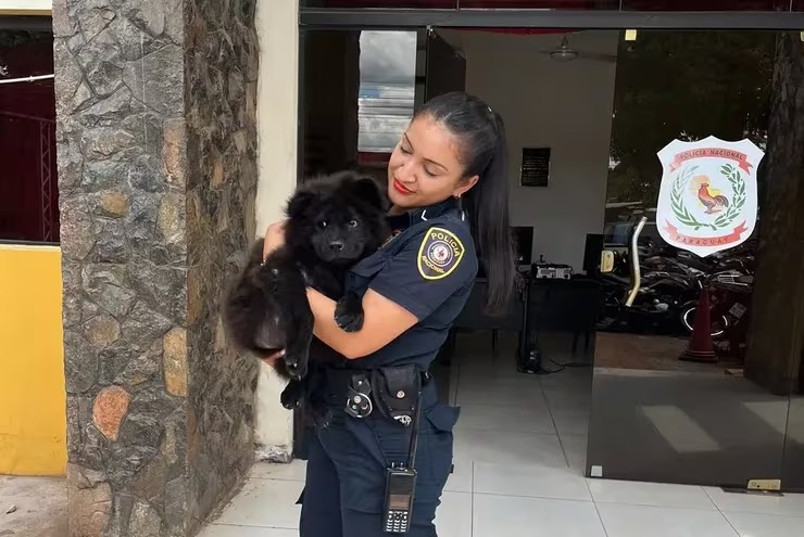 Denuncian que un presunto adicto robó el perro de su vecino para comprar droga