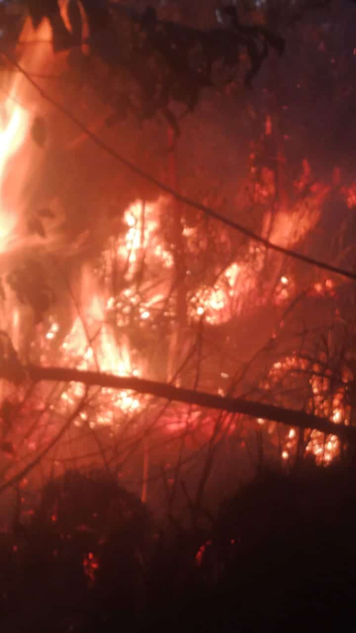 Infona advierte de condiciones adversas para incendios forestales e insta a la conciencia ciudadana