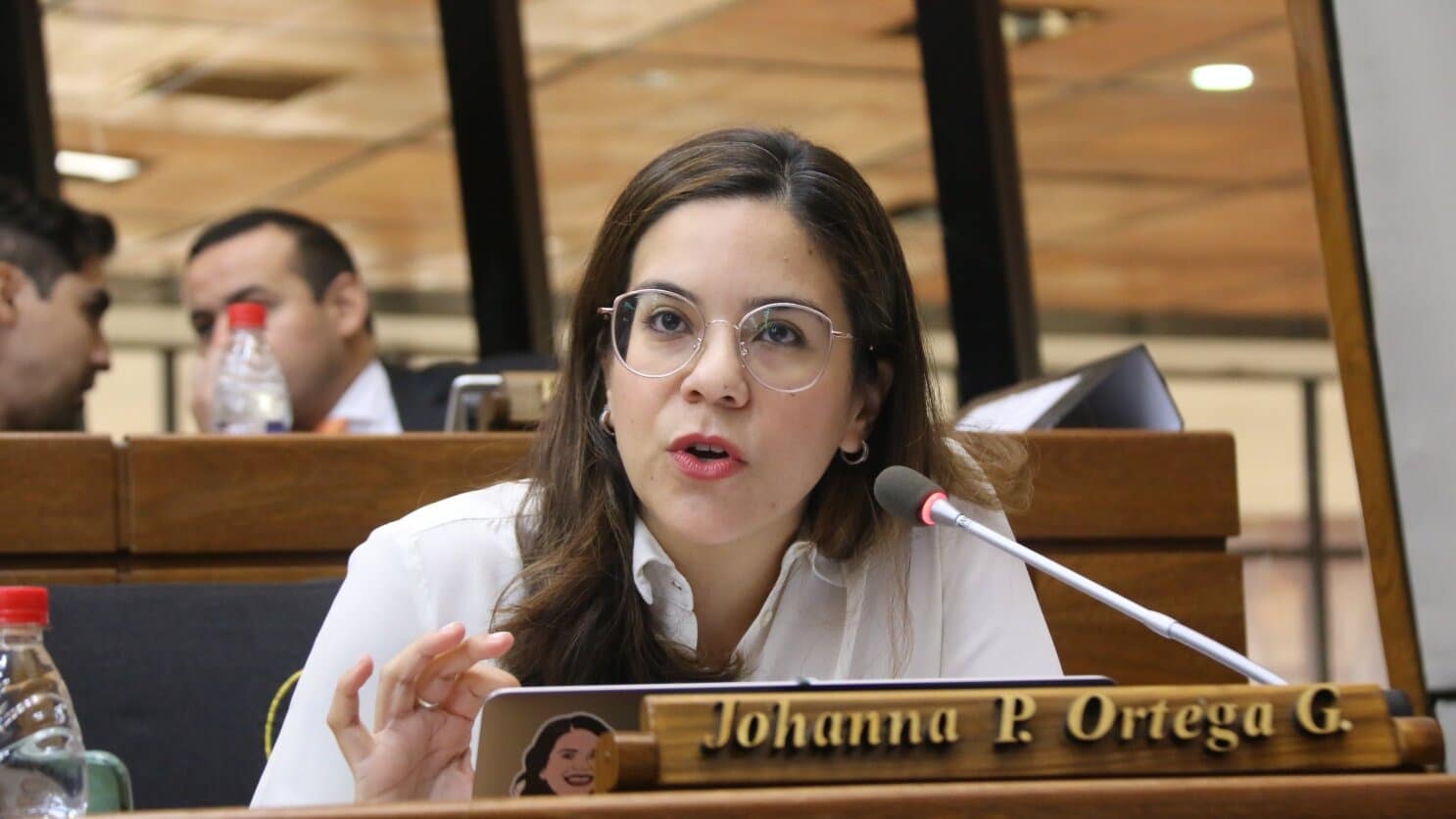 Santiago Peña podría estar planteando una reforma constitucional , presume diputada