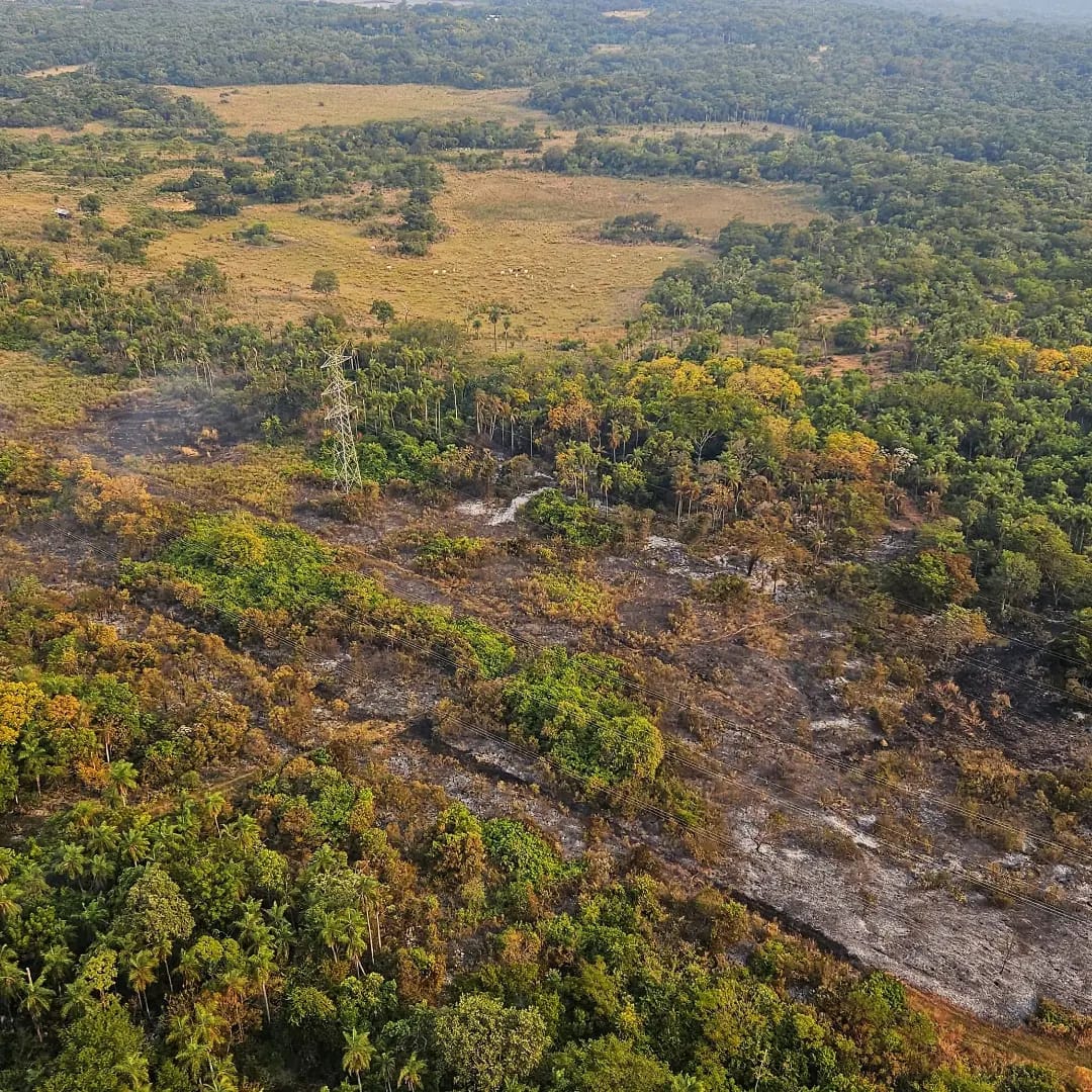 Preocupa Calidad Del Aire A Causa De Los Incendios Forestales