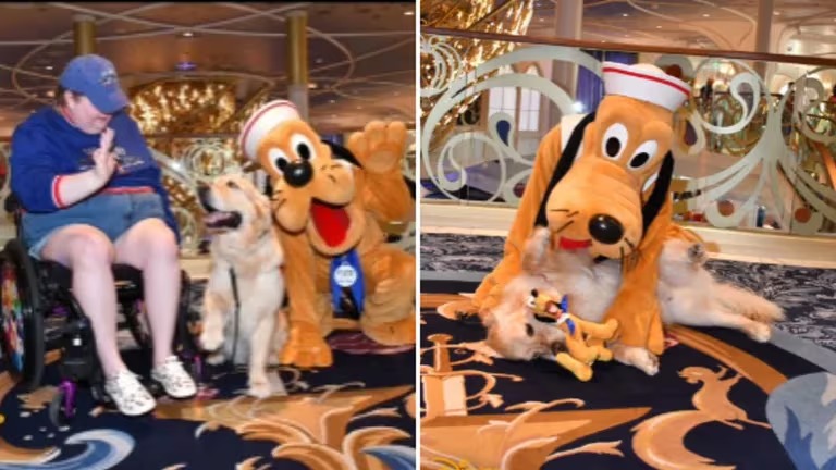 ¡Mágico! Forest, el perrito de servicio conoció las maravillas de Disney