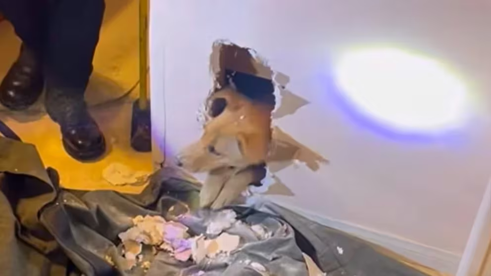 ¡Travesura perruna! Cachorra queda atrapada y moviliza a bomberos