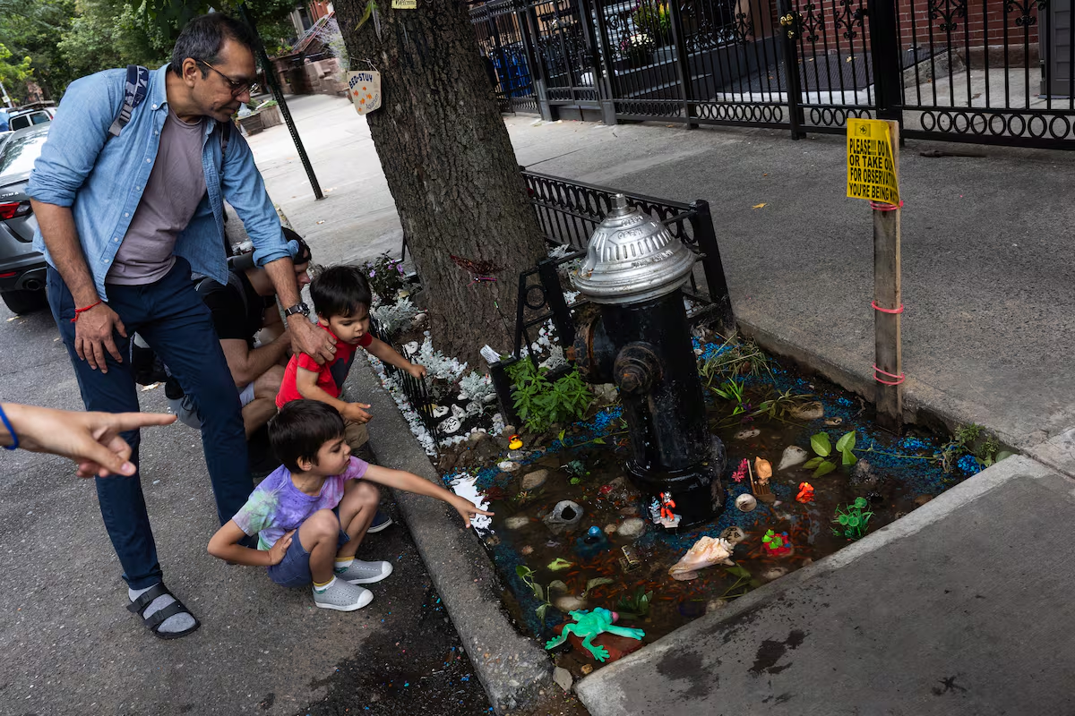 El acuario que nació de una fuga de agua