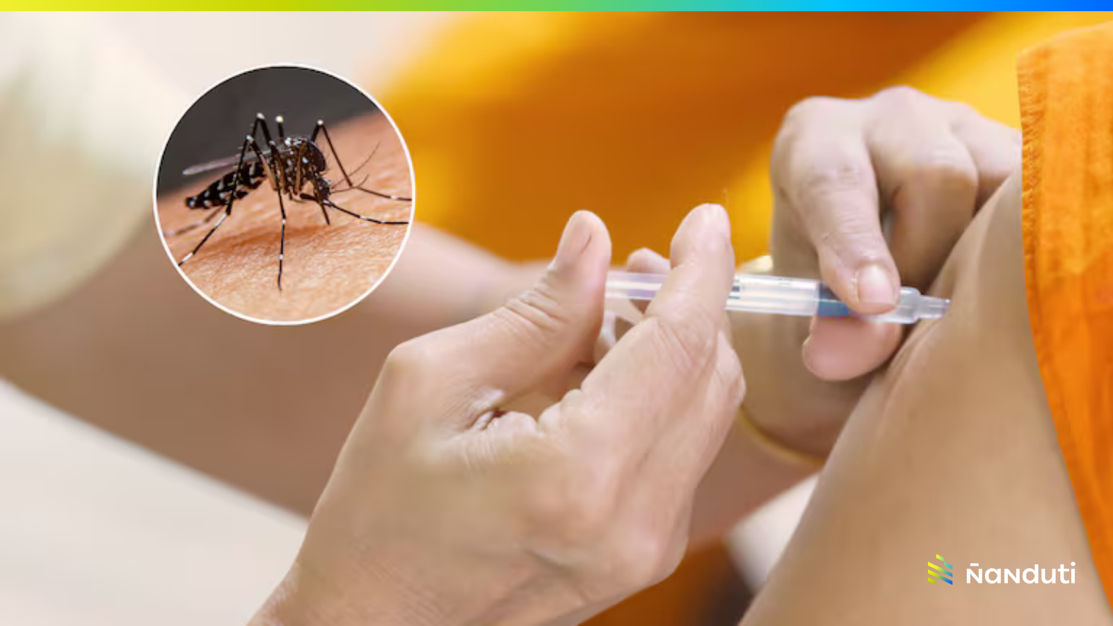 Salud incluiría vacuna contra el dengue en esquema para el 2025