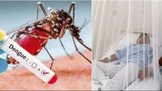 Casos sospechosos de dengue en aumento, según Vigilancia de la Salud