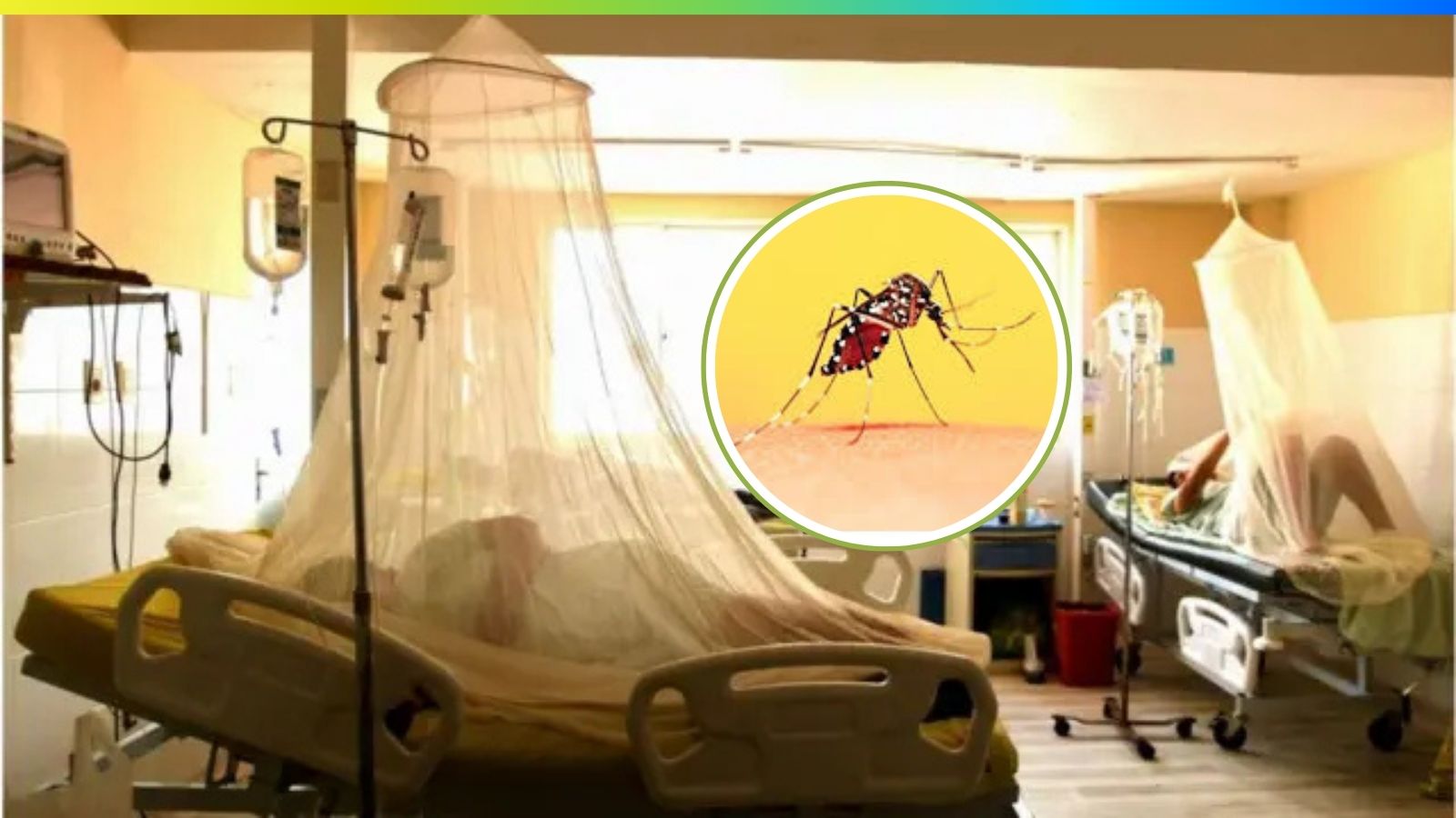 Alertan sobre brotes de dengue en la región e instan a prepararse para un posible aumento de casos