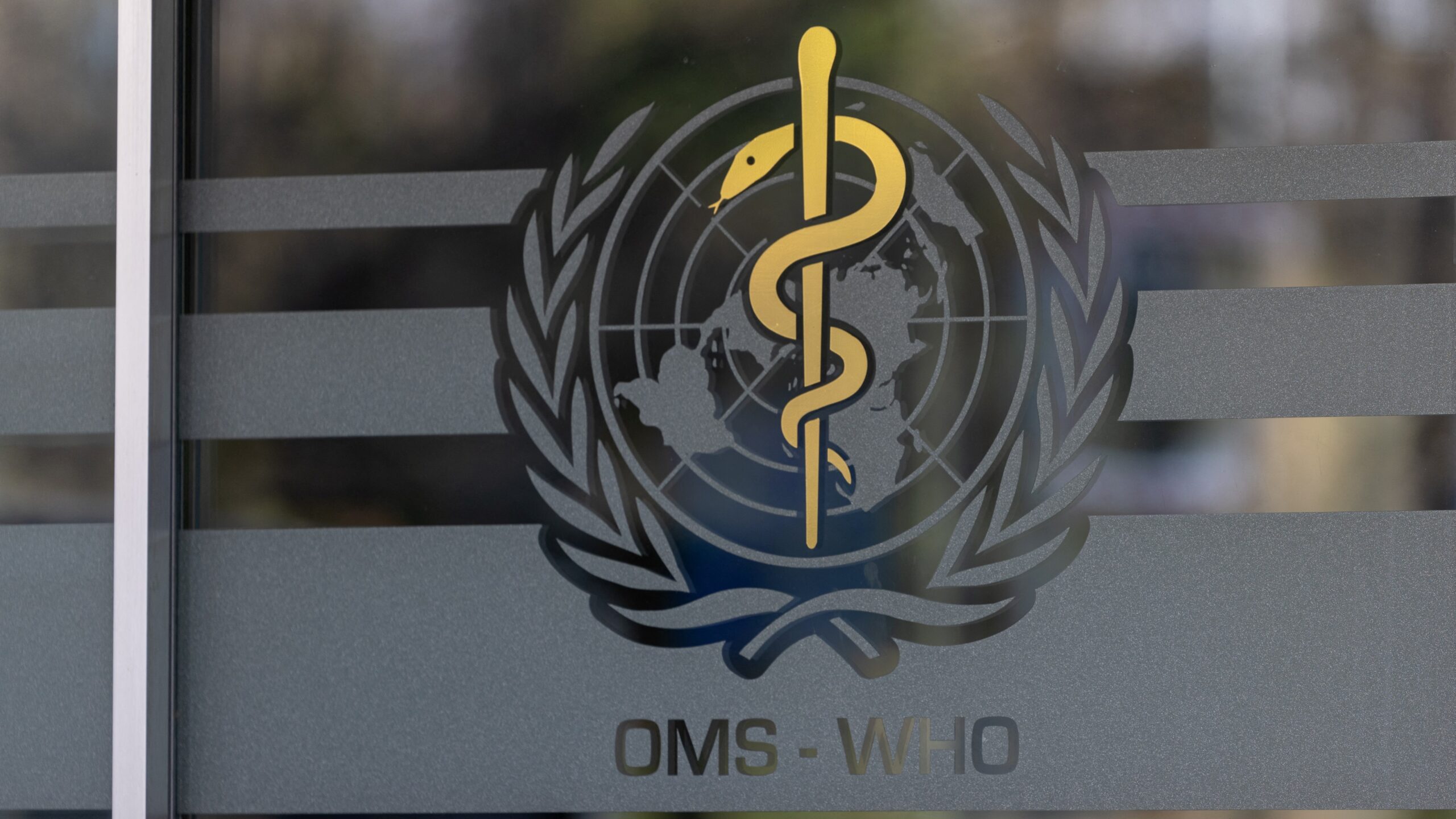 Argentina se retira de la Organización Mundial de la Salud