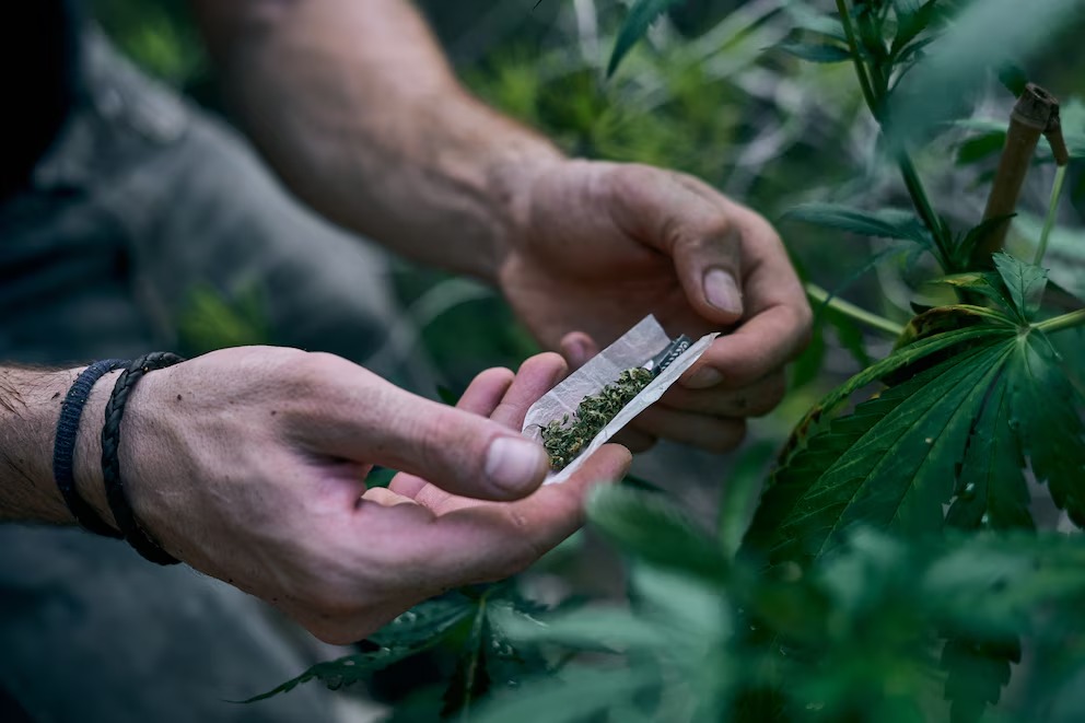 Alertan sobre el aumento de casos de un extraño síndrome relacionado con el consumo de cannabis