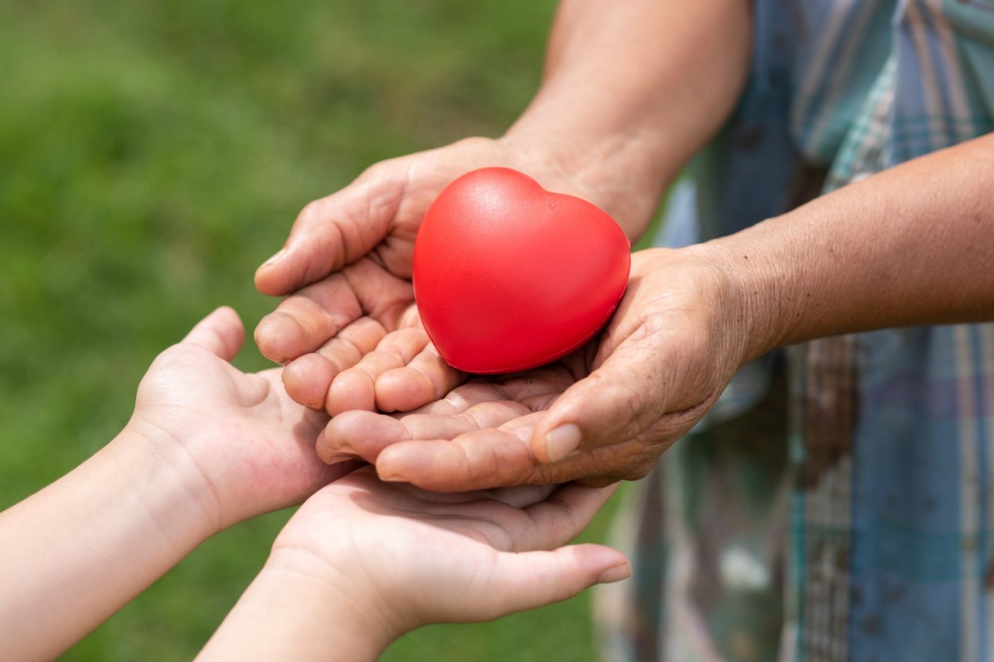 Día Mundial de Pacientes Trasplantados: ¡Una decisión que cambia vidas!