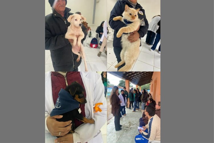 Animalitos de compañía recibieron atención veterinaria en jornada de «patitas sanas»