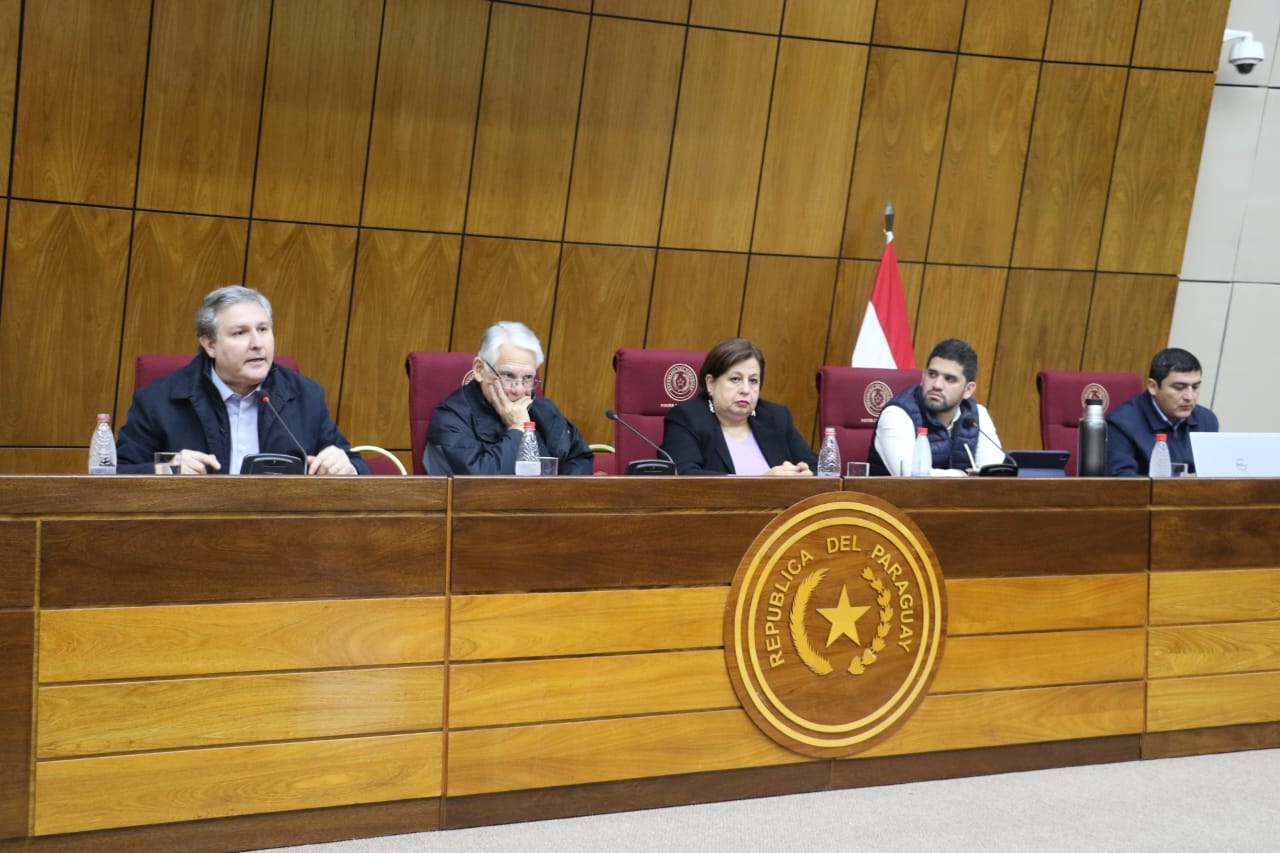 En audiencia pública debatieron sobre la revisión del Anexo C del Tratado de Itaipú