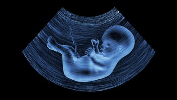 El Dr. Xavier Delgadillo, especialista en Coloproctología, comparte curiosidades