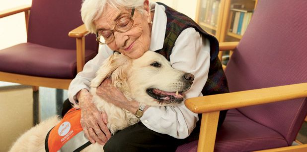 Convivir con animales mejora la salud física y emocional de los adultos mayores