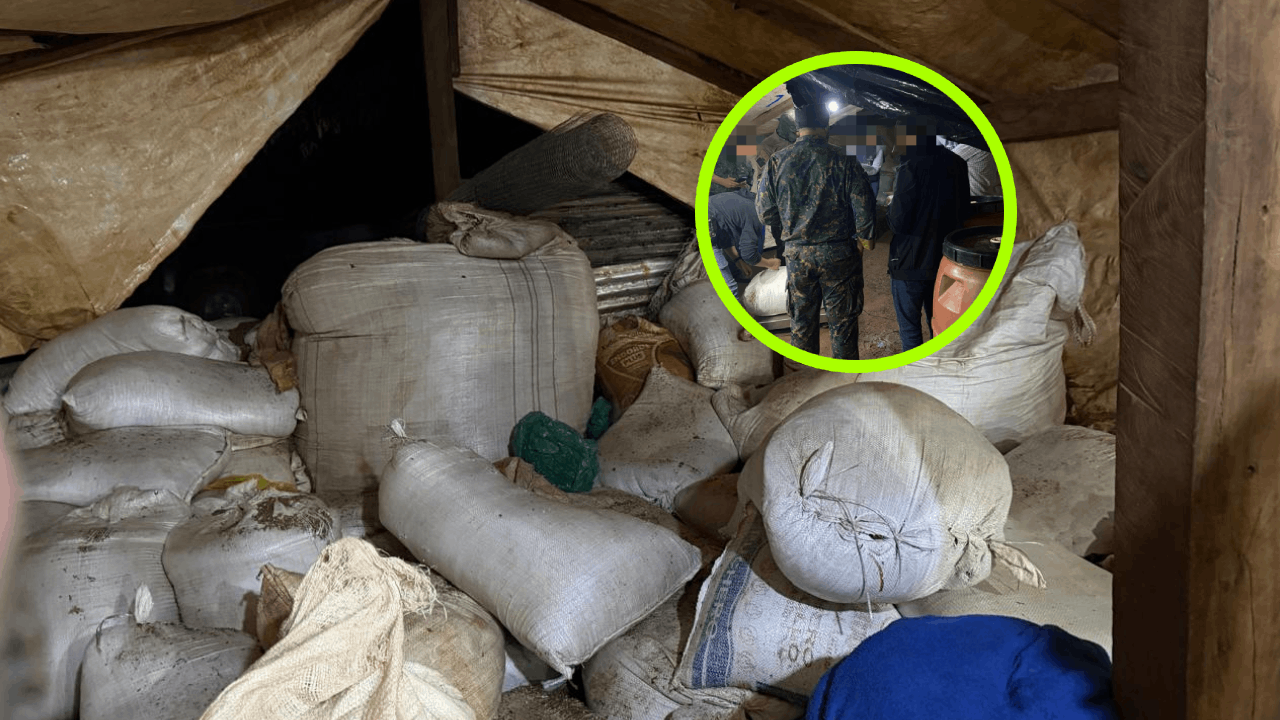 Destruyen centro de acopio con más de 800 kilos de marihuana en Ypejhú