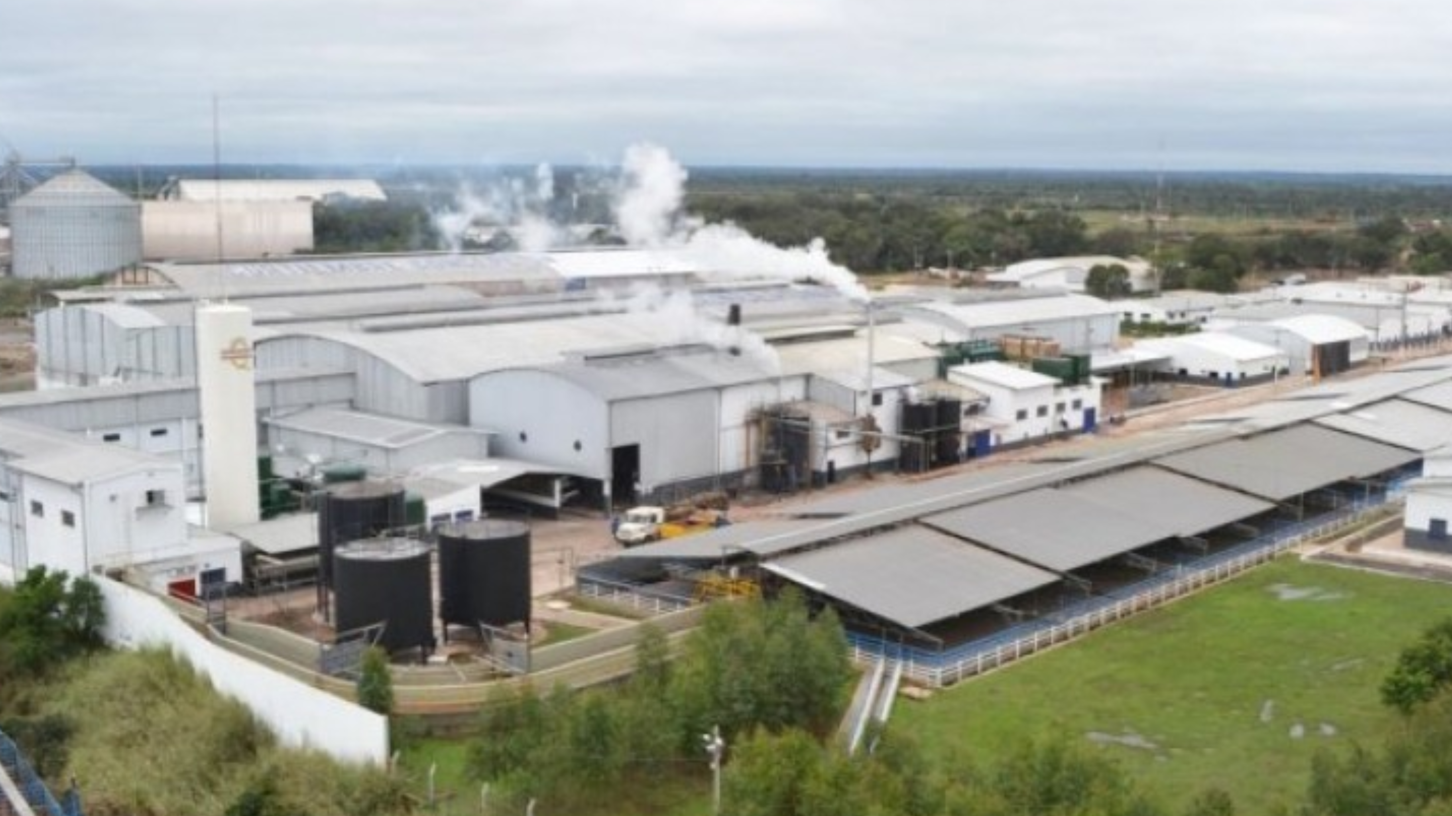 Frigorífico Concepción anuncia revisión financiera y abre negociaciones con acreedores