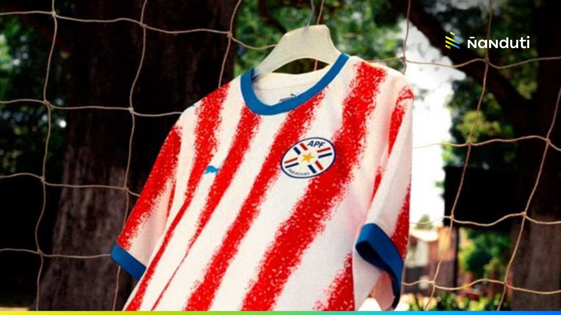Tarjeta roja en Tribunales: Prohíben usar la camiseta de la Albirroja en el Poder Judicial